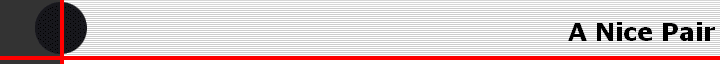 A Nice Pair